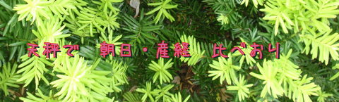 240529-02e.jpg