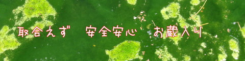240531-32e.jpg