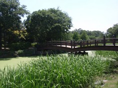 240608-222 別所沼公園.jpg