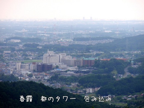 240613-03e.jpg