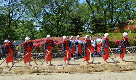 250427-101a 麦打ち唄.jpg