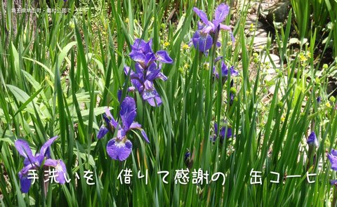 250504-68b 農村公園.jpg