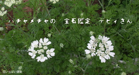 250513-106a.jpg