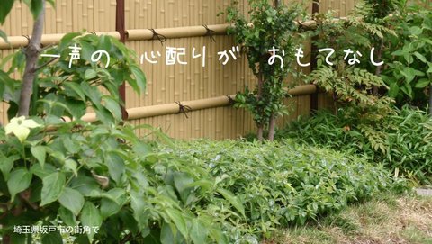 250522-98b 坂戸.jpg