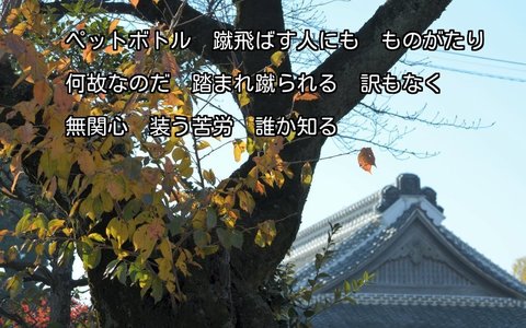 251201-86s 本丸御殿.jpg