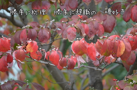 261031-03a 自宅.jpg