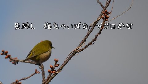 270220-134a 目白.jpg