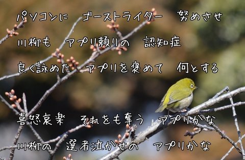 270220-141f ゲオ.jpg