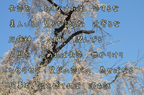 270329-51b 喜多院.jpg