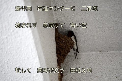 270531-115s.jpg