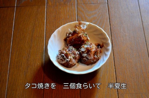 270701-264s 半夏生.jpg