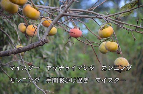 270924-356t.jpg