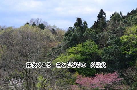 280408-648e.jpg