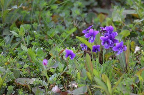 280419-154f.jpg