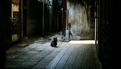 280427-1e.jpg