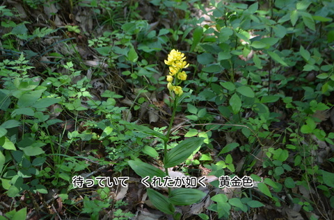 280504-371e.jpg