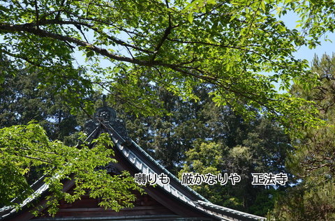 280505-380e.jpg