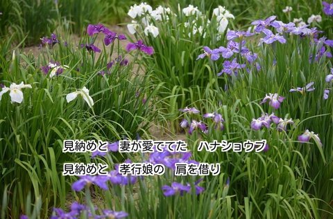 280604-312s ƂҊ.jpg