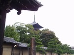 191107-11 東寺.jpg
