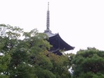 191107-12 東寺.jpg