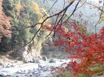 231129-189 御岳渓谷.jpg